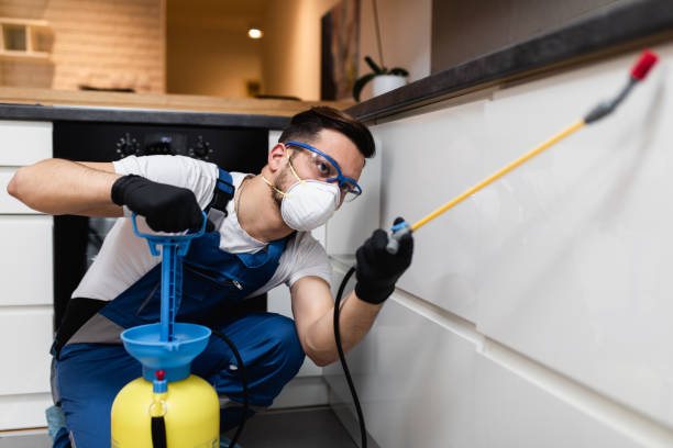 Wasp Removal Services in Monessen, PA