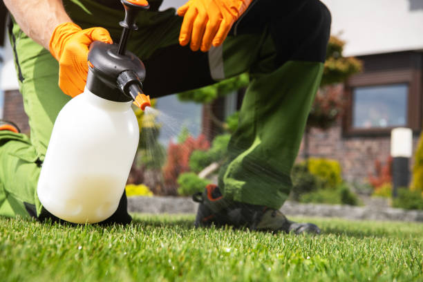 Reliable Monessen, PA Pest Control Solutions